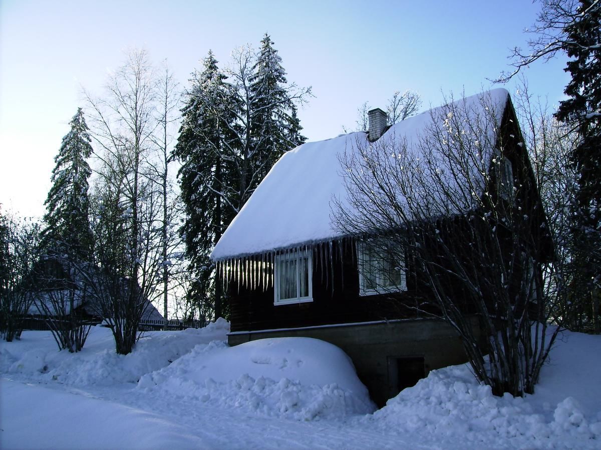 Загородные дома Jõeniidu Holiday House Trolla-29