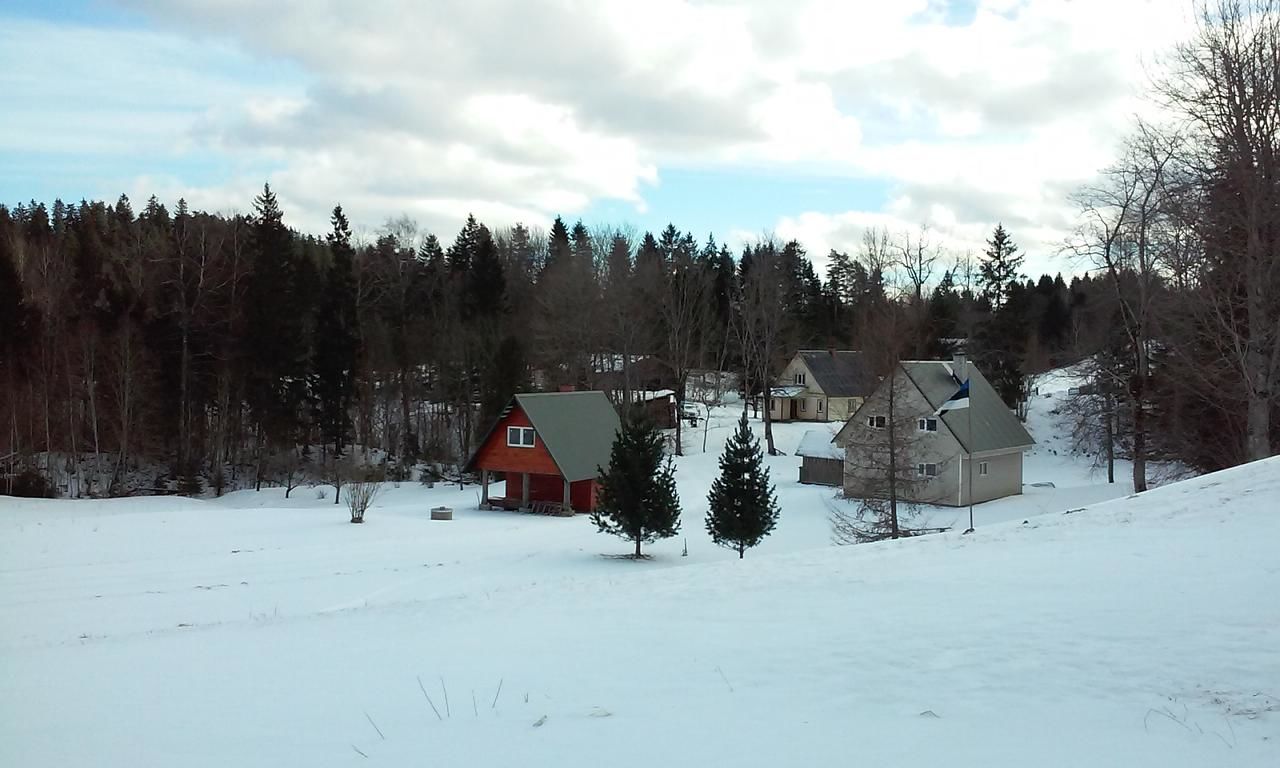 Загородные дома Jõeniidu Holiday House Trolla-33