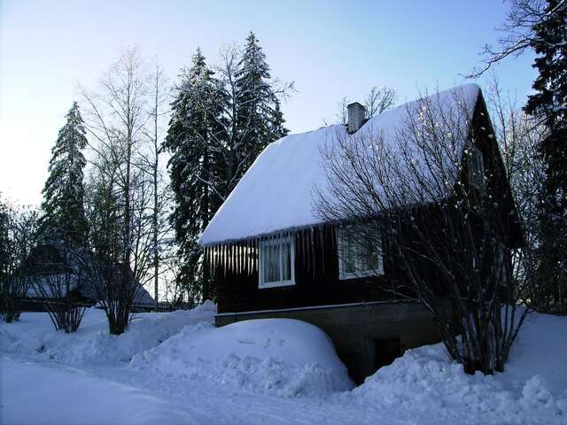 Загородные дома Jõeniidu Holiday House Trolla-28